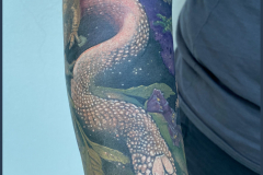 243775320_4683747698344524_4894662206807203848_n