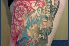 aquarell_dotwork_steinbock