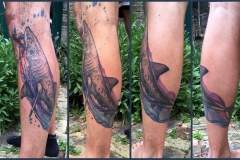 aquarell_shark