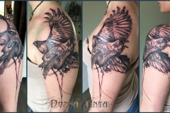 hugin_munin